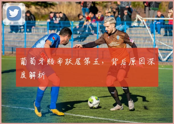 葡萄牙赔率跃居第五,背后原因深度解析