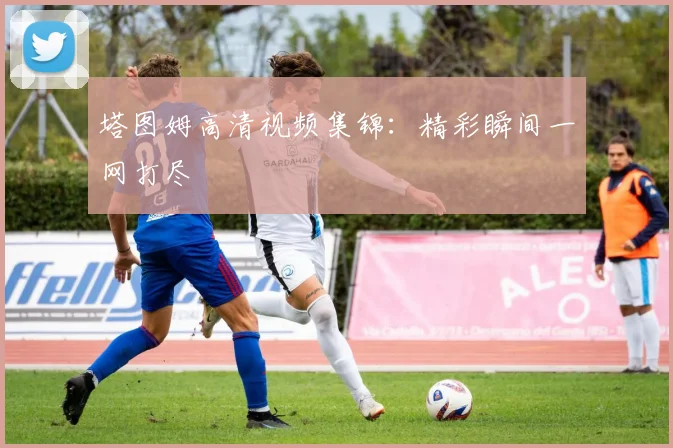 塔图姆高清视频集锦:精彩瞬间一网打尽