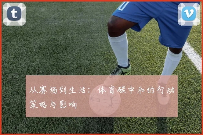 从赛场到生活:体育碳中和的行动策略与影响